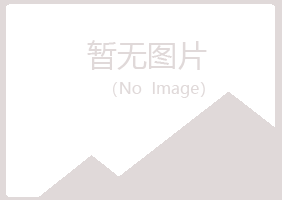 上海字迹咨询有限公司